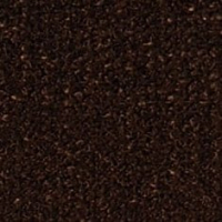 Sahara